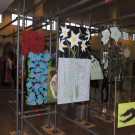 DSCN7956_JPG-1352767497