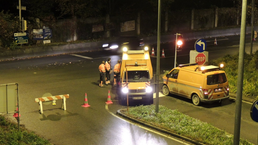 DSCN8011_JPG-1352768513