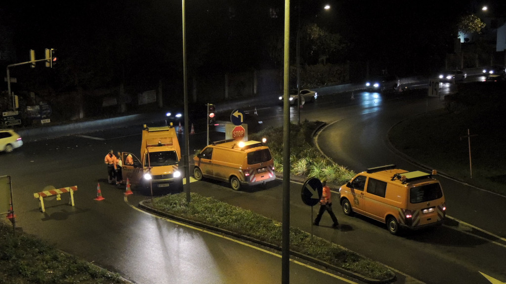 DSCN8013_JPG-1352768517