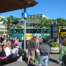Bustouristen 06-04 1_JPG-1352791596