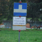 November 13 006.JPG