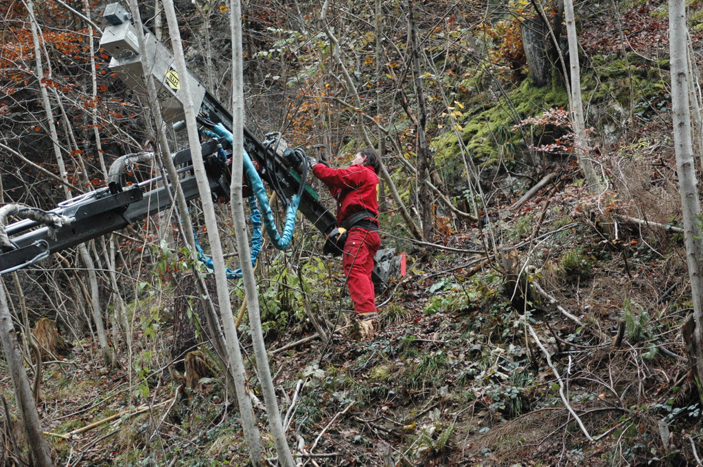 DSC_7456_JPG-1352803756