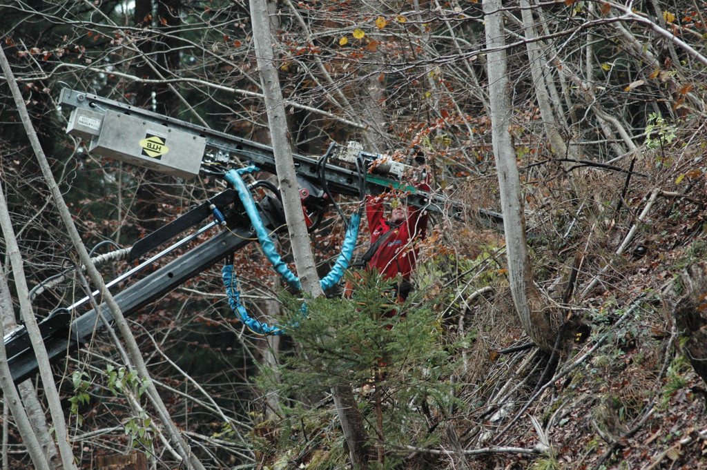 DSC_7451_JPG-1352803895