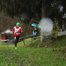 IMG_8102_JPG-1352810615