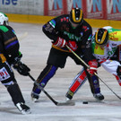 VEU -  Rankl   2012 114_jpg-1352845255