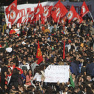 IBD0489-20121114.jpg