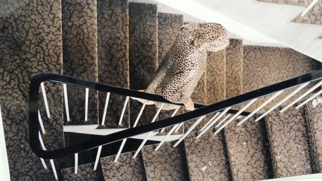 DSCN7714_JPG-1352942482