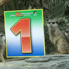 Platz1_Erdm___nnchen.jpg