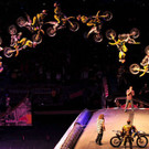 Nitro Circus Live kam  am 23. und 24. November 2012 erstmals nach Wien 