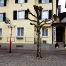 4747.jpg