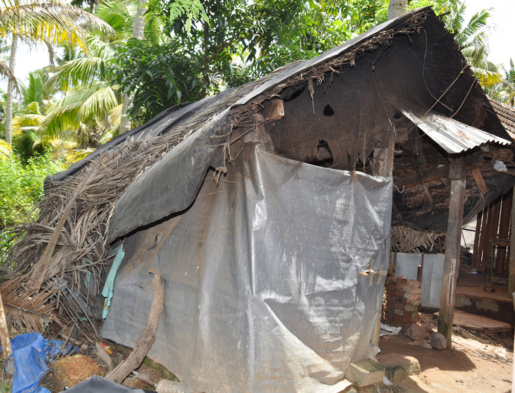 Dach4a_jpg-1352997750