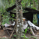 Dach4b_jpg-1352997764