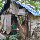 Dach4e_jpg-1352997805