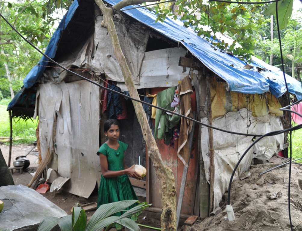 Dach4e_jpg-1352997805