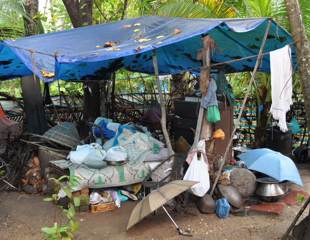 Dach4f_jpg-1352997821