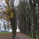 Spätherbst am See 