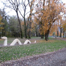 Seeufer im Sp__therbst 2012 _1__jpg-1353004964
