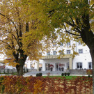 Seeufer im Sp__therbst 2012 _9__jpg-1353004994