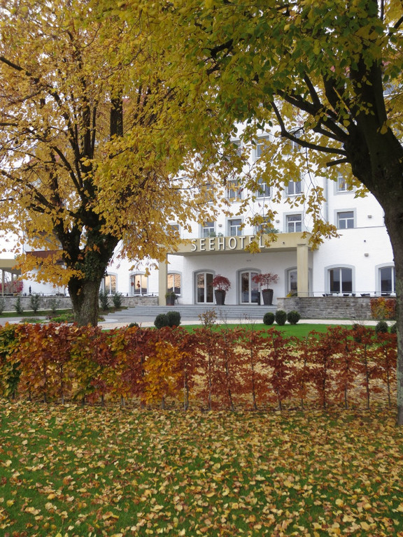 Seeufer im Sp__therbst 2012 _9__jpg-1353004994