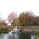 Seeufer im Sp__therbst 2012 _6__jpg-1353004980