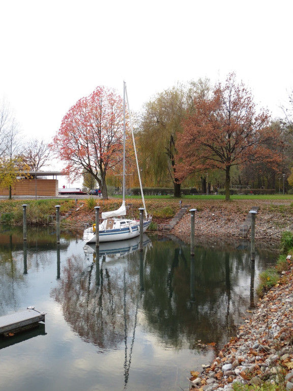 Seeufer im Sp__therbst 2012 _6__jpg-1353004980
