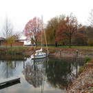 Seeufer im Sp__therbst 2012 _7__jpg-1353004984