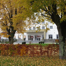 Seeufer im Sp__therbst 2012 _8__jpg-1353004989