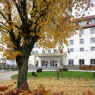 Seeufer im Sp__therbst 2012 _10__jpg-1353004999