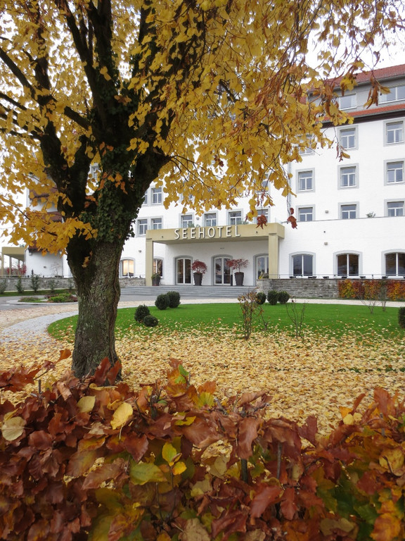 Seeufer im Sp__therbst 2012 _10__jpg-1353004999