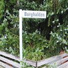 Burghalden_1_JPG-1353052826
