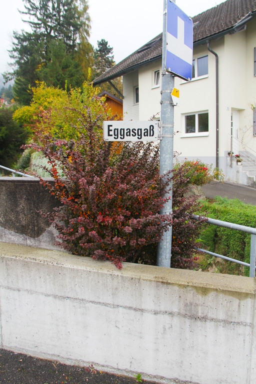 Egga__gas_1_JPG-1353052843