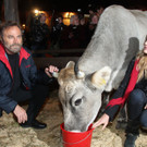 AiderbichlWeihnachtsmarkt1511201220.jpg