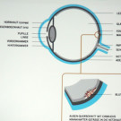 DSCN6199_JPG-1353108039