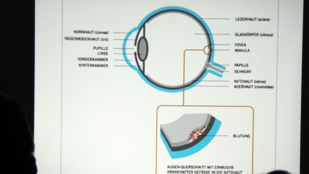 DSCN6199_JPG-1353108039