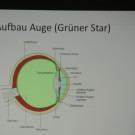 DSCN6201_JPG-1353108047