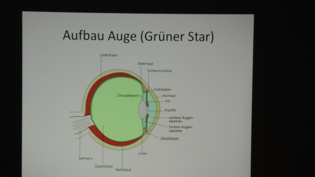 DSCN6201_JPG-1353108047