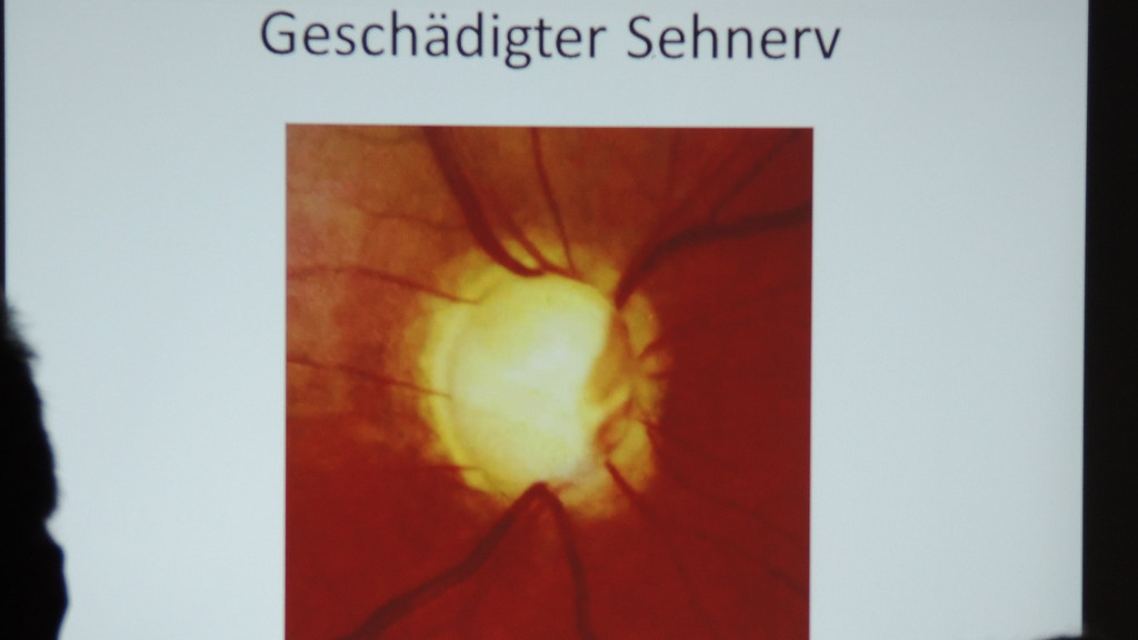 DSCN6202_JPG-1353108052