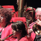 DSCN7919_JPG-1353108811