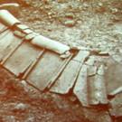 DSCN7983_JPG-1353110951