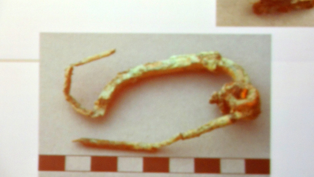 DSCN7994_JPG-1353110963