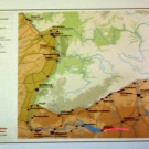 DSCN7974_JPG-1353110943