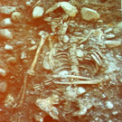 DSCN8005_JPG-1353110974