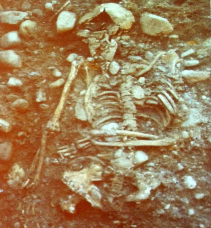 DSCN8005_JPG-1353110974