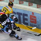 EXPA-THA-121116-0064.jpg