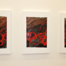 DSCN8293_JPG-1353166839