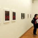 DSCN8285_JPG-1353166822