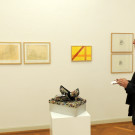 DSCN8288_JPG-1353166826