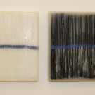 DSCN8302_JPG-1353166860