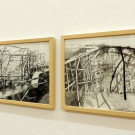 DSCN8317_JPG-1353166902