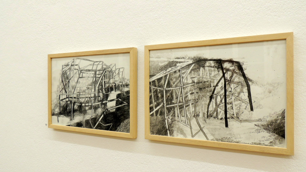 DSCN8317_JPG-1353166902